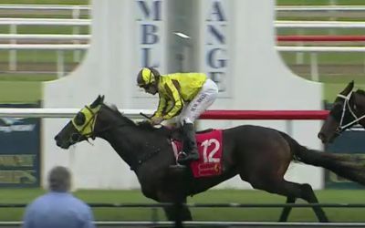 Another flashy finish from Cuban Cigar