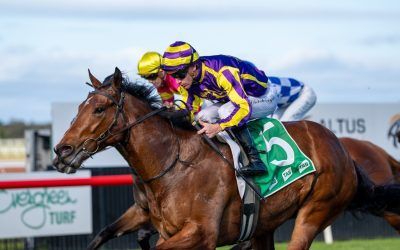 Stakeholder a maiden no more