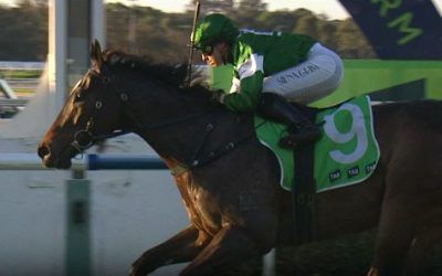 Dusty Bay impressive second up