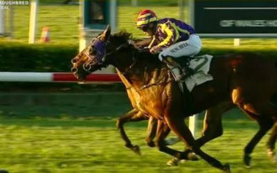 Fabrice delivers at Newcastle