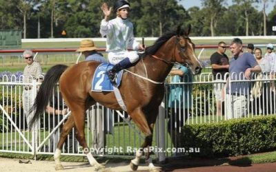 Monton returns to scale