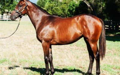 FLYING SPUR / ANOTHER TIME FILLY