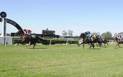 Intimate Moment proves to be to good at Warwick Farm