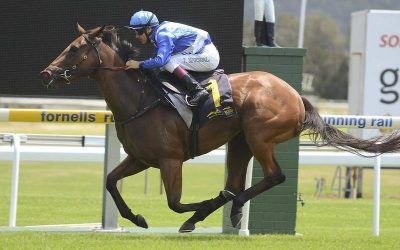Absolute Empress impresses at Gosford