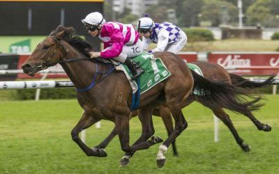 Dixie Blossoms claimed a deserved Group win at Randwick