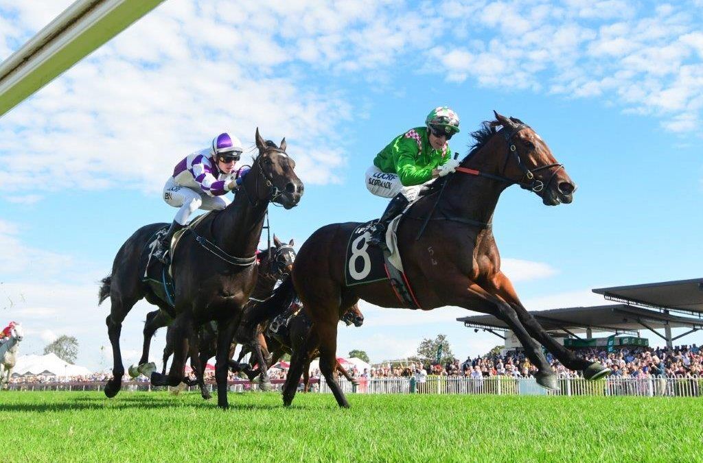 SMARTYPY EYES RAMORNIE AFTER IPSWICH CUP DAY WIN Munce Racing