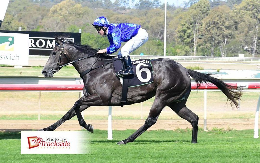 Jami Lady set for Magic Millions with Eagle Farm win