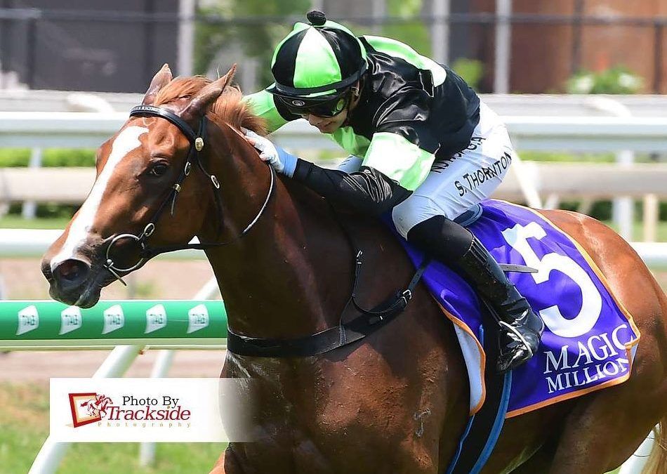 Kiss emerges as Millions contender