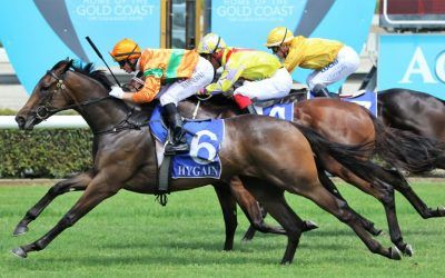 Belated Gold Coast Chance for Katy