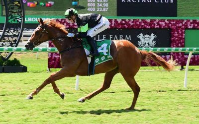 Apprentice Thornton ready for biggest day