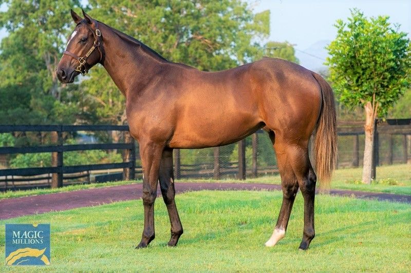 I Am Invincible X Amelia’s Dream