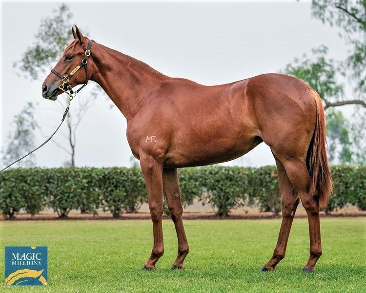 Extreme Choice X Wildly Entertained