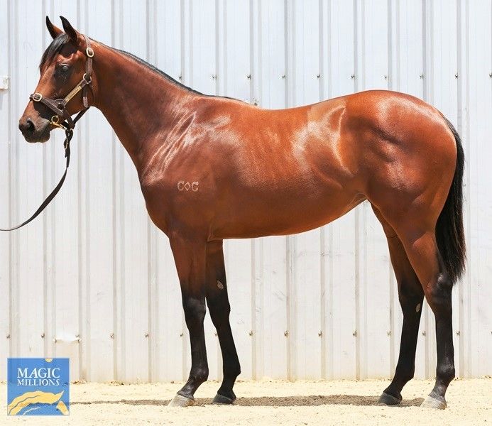 Rubick X City Of Song