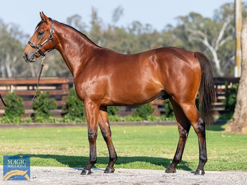 Not A Single Doubt X Descent