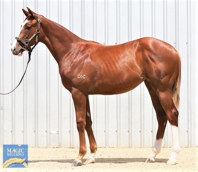 Written Tycoon X Diva Dee