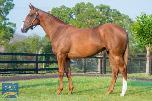 Sebring X Global Dance