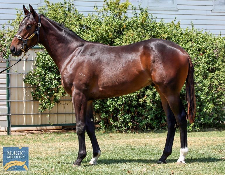 Better Than Ready X Ridolfi