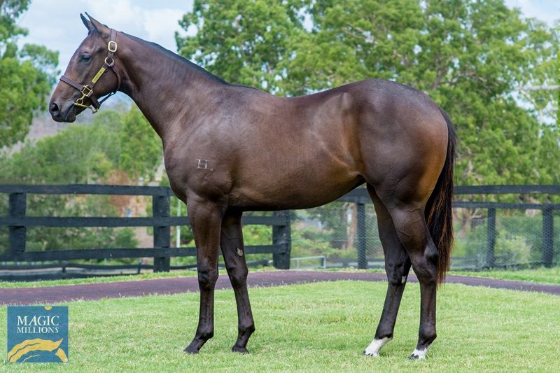 Sebring X Silk Slippers