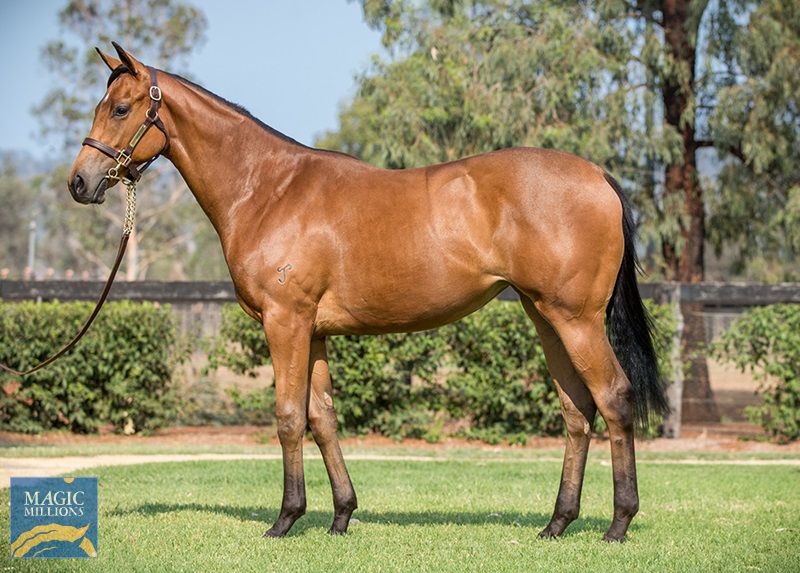 I Am Invincible X Sweet Kiss