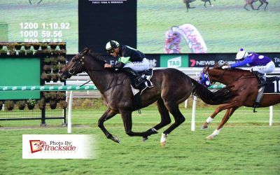 Stable overdue for change of luck in Cup