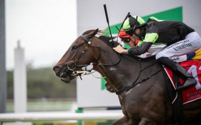 Scallopini gives O’Dea Racing second success in Sunshine Coast Cup