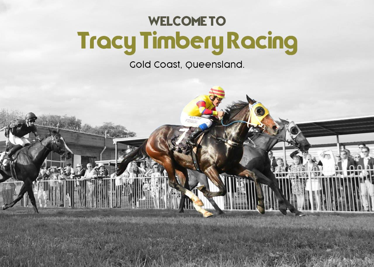 Home Tracy Timbery Racing