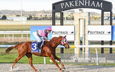 Pakenham success for Maxey Campo