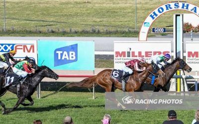 Sister Kitty Mac wins the last on Horsham Cup Day