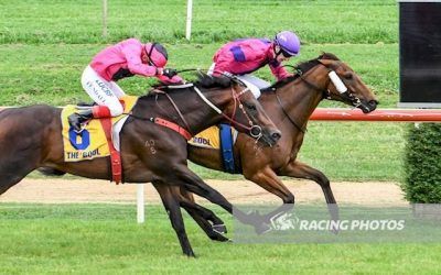 Maiden victory for Astrobite