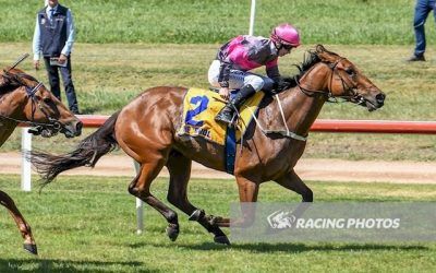 Set The Bar High salutes at Warrnambool