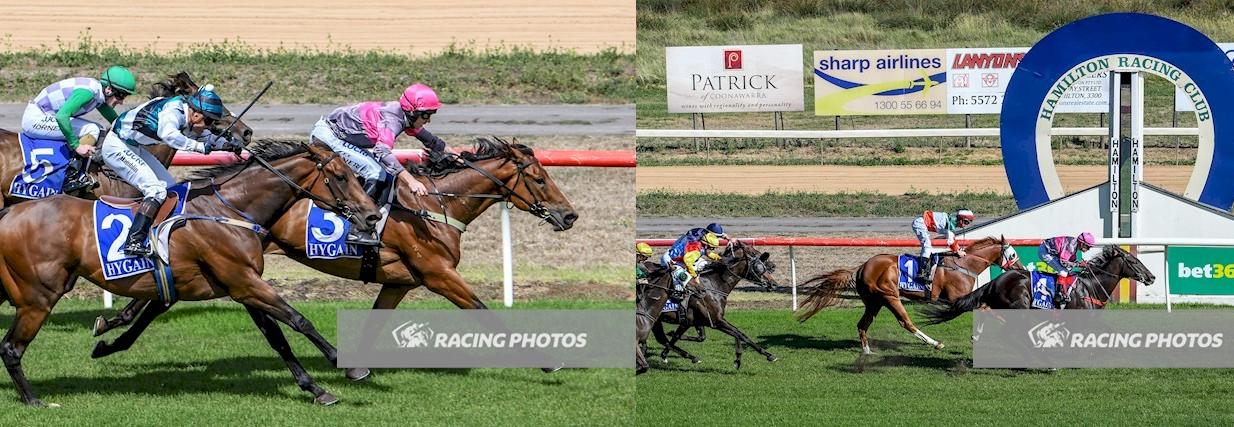 Hamilton Double - Wilde Racing