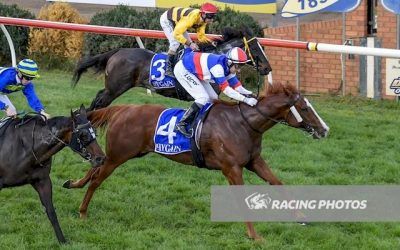 Terang Cup Day Vicotry for Ammoudi Bay