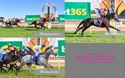 Swan Hill delight for Wilde Racing