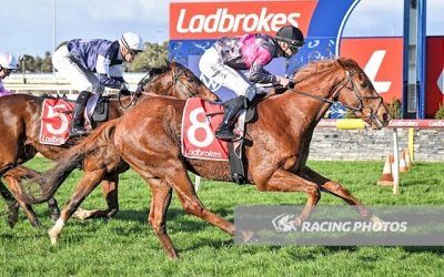 Buzz back in the winners stall