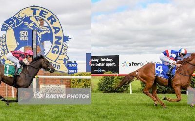 A double at Terang brings our strike rate to 30% for November thus far