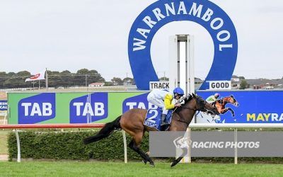 Havashout and Toff Love win on Koroit Cup Day