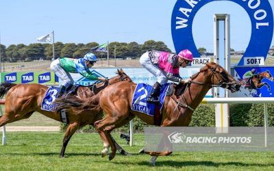 Foxy’s Star Loves Warrnambool