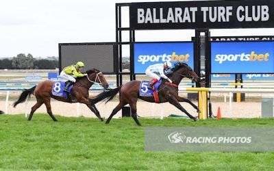 Dinga relishes the wet conditions at Ballarat