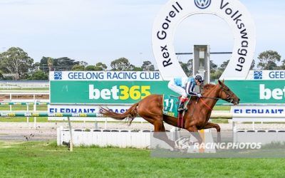 Two lovely stayers bring up a double at Geelong