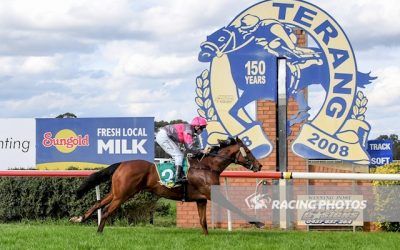 Now and Forever wins at Kyneton and NZ purchase Paddy Mac impresses at Terang