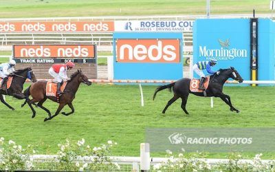 Beachgoer breaks through at Mornington