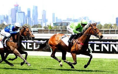 Tralee Rose salutes on ladies day