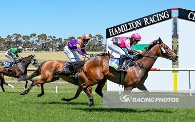 Under The Bridge successful at Hamilton