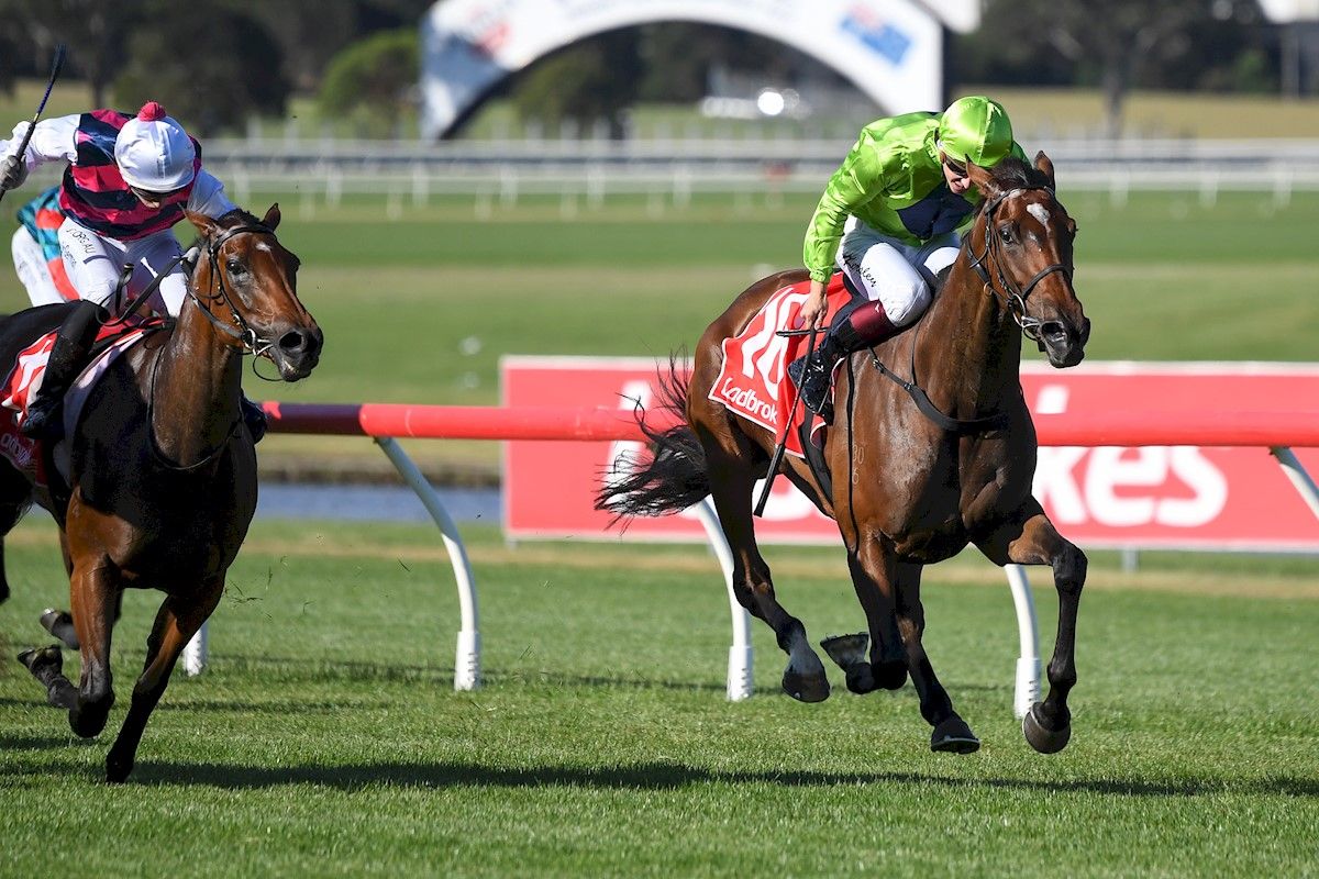 Tralee Rose makes it three from three - Wilde Racing