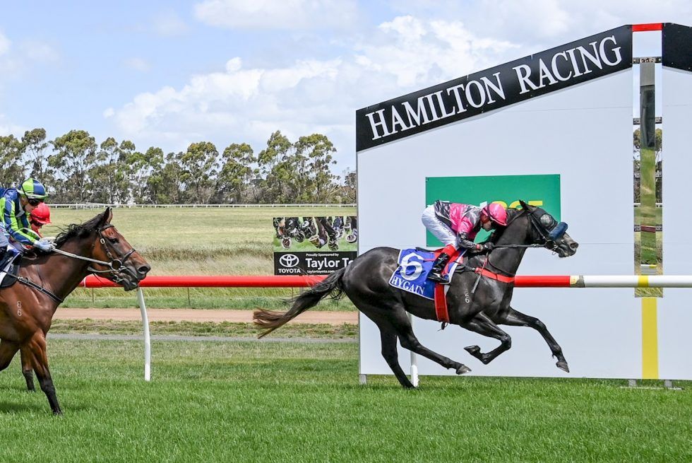 Hamilton maiden victory for Stigwood - Wilde Racing