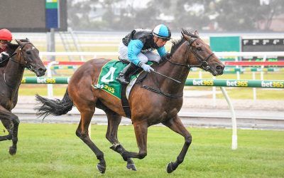 Realeza makes it two on the trot