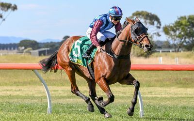 Boxing Day Double at Penshurst