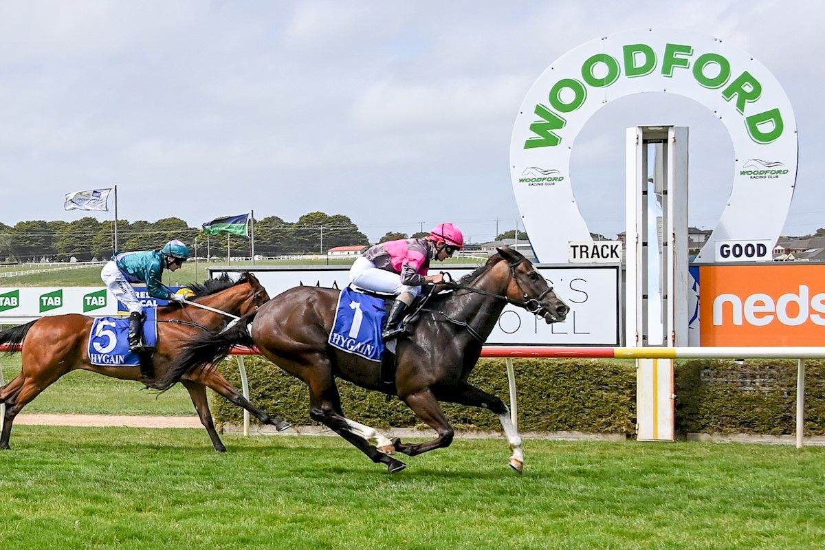 New Years Eve Double - Wilde Racing