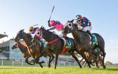 Irish Delight toughs it out at Geelong