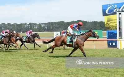 Field of Lights claims Birregurra Cup